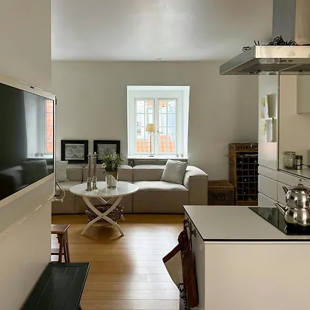 Apartment Rooftop Flat Near Gammel And Tivoli *